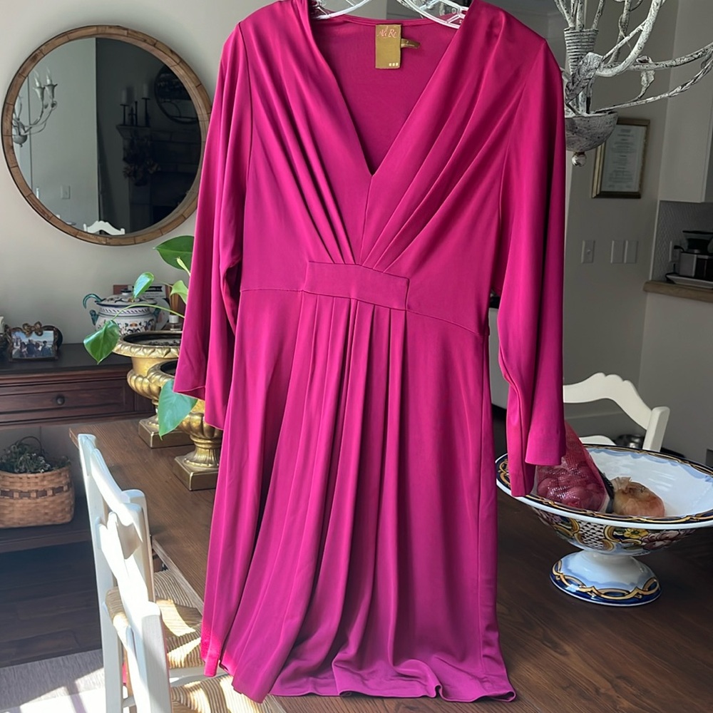 Ali Ro Vintage Pleated Dress